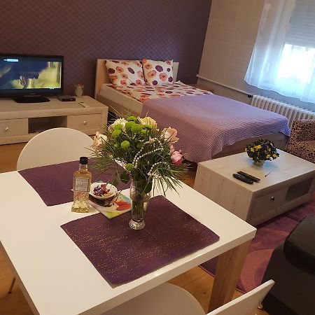 Sara - Modern Apartment In The City Center Novi Sad Dış mekan fotoğraf