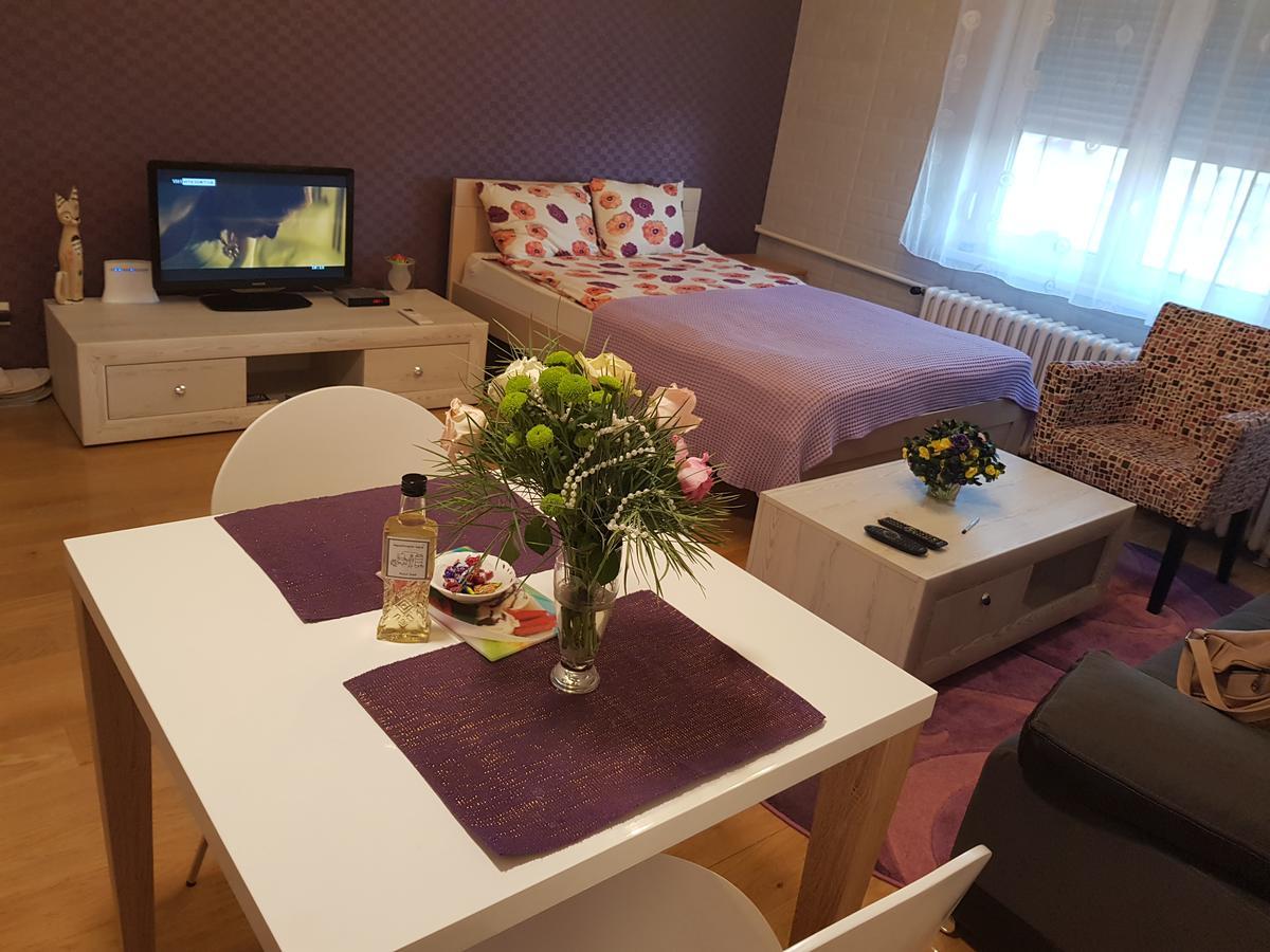 Sara - Modern Apartment In The City Center Novi Sad Dış mekan fotoğraf